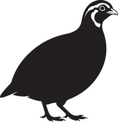 Obraz premium Bobwhite Quail Bird Black Silhouette Vector, Wildlife Illustration & Nature Design