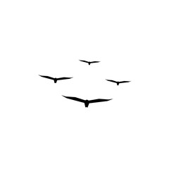 Flying birds silhouette illustration on white background. Simple vector artwork showing flock of birds in motion. Elegant black design element for freedom, nature, and wildlife concept