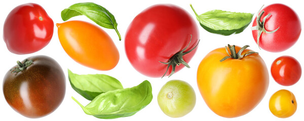 Different fresh tomatoes and green basil isolated on white, set