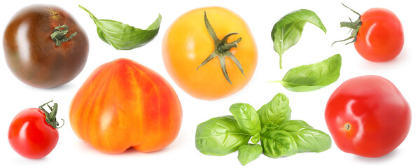 Different fresh tomatoes and green basil isolated on white, set