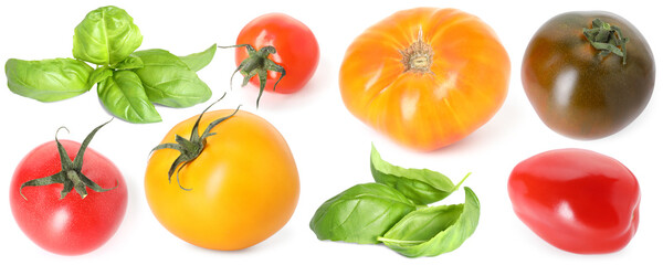 Different fresh tomatoes and green basil isolated on white, set