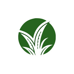Aloe Vera logo vector icon concept