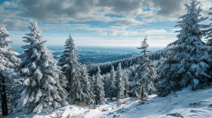 Snow-covered evergreen trees in a serene winter landscape with distant mountains and clouds