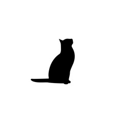 Black cat silhouette sitting on white background. Simple vector illustration showing elegant feline posture. Graphic design element representing calm and pet concept