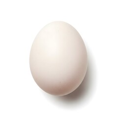 Single White Egg Isolated on White Background