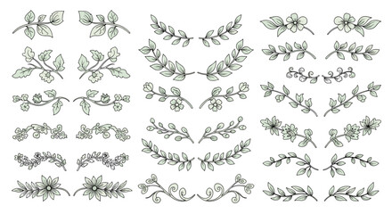 A collection of hand-drawn floral and botanical decorative elements and dividers.