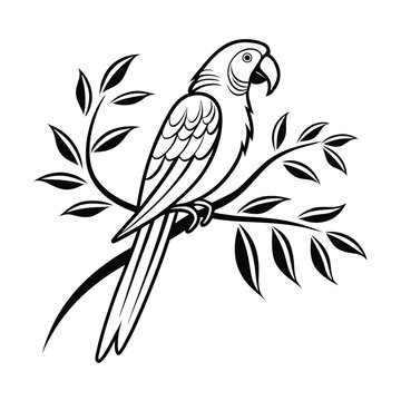 Clean Monochrome Tropical Bird Illustration