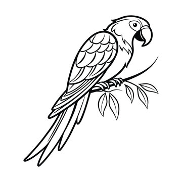 Contemporary Minimal Parrot Line Illustration