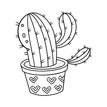 Elegant Desert Cactus Line Art