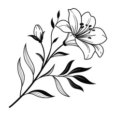 Elegant Petals Drawn with Poise