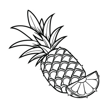 Elegant Monochrome Pin Drawing Art