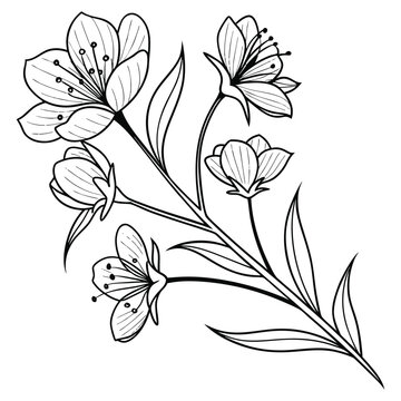 Minimalist Red Blooming Flower Art