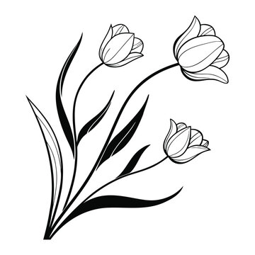 Tulip Line Art Minimalist Style