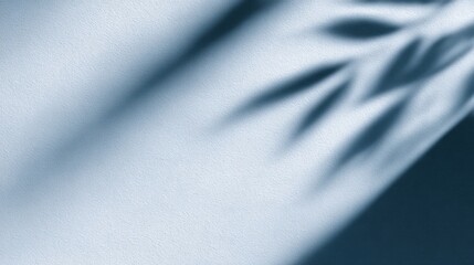 Subtle shadows cast on a textured surface, creating an artistic play of light and dark tones