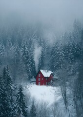 Farmhouse in the woods during winter, surrounded by snow-covered trees