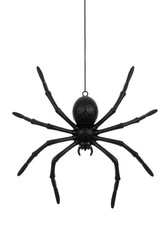 Fototapeta premium Plastic Spider With Hanging String Isolated Checkered Background Halloween Black Scary Decoration Creepy Object Nobody Studio Shot Simulation Replica