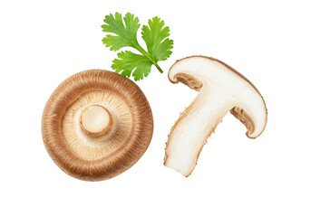Isolated shiitake mushroom with parsley, ingredient for Asian cuisine dishes, vegetarian food
