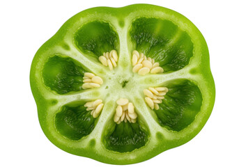 Isolated green bell pepper cross section, vegetable ingredient, plant seed, culinary food