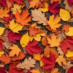 Fototapeta premium Vibrant maple and oak leaves in rich autumn colors scattered across dark ground