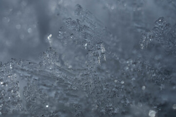 Neige en macro
