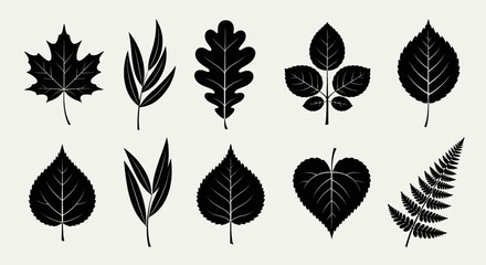 A collection of various stylized black leaf silhouettes arranged on a light background.