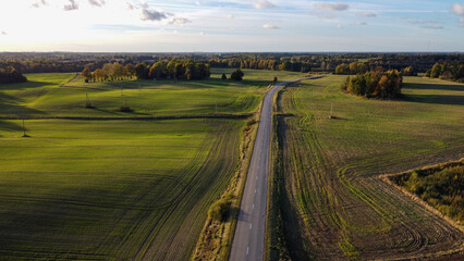 Aerial View of a Country Road Through Green Fields in the Autumn Golden Hour