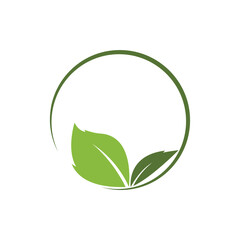 Eco icon green leaf vector illustration