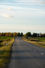 Empty Country Road Leading into the Horizon in Autumn