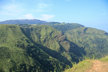 Obraz premium Sun-lit Vagamon hills in Kerala glow with fresh greenery under a clear morning sky, creating a tranquil landscape perfect for travel, nature, and scenic backgrounds