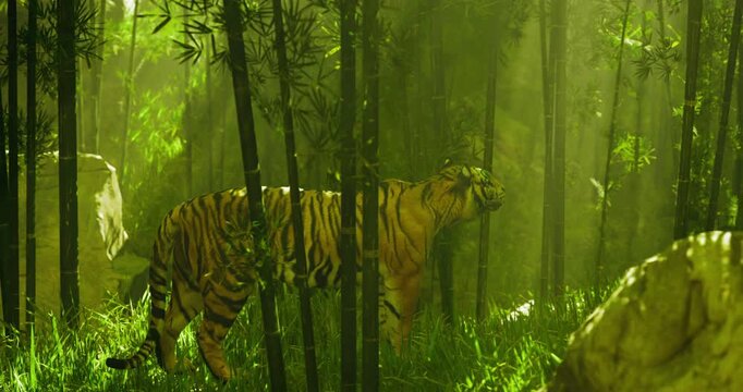 A majestic tiger navigates through a dense bamboo forest, its striking stripes contrasting with the vibrant greenery. Sunlight filters through the leaves, creating a serene atmosphere.