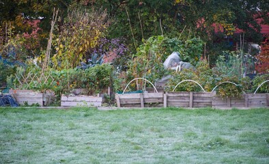 Agriculture cultivation in October with frozen lawn in the foreground.