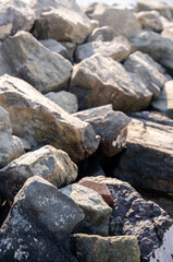 Natural formation of large rocks at the coast under daylight. Perfect for environmental, geological, and nature concepts.