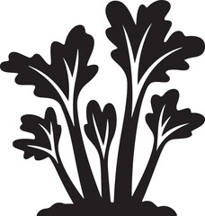 Rhubarb Sprouts Black Silhouette Vector, Botanical Plant Illustration & Garden Design