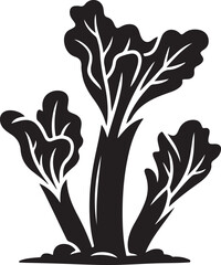 Rhubarb Sprouts Black Silhouette Vector, Botanical Plant Illustration & Garden Design