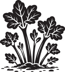 Rhubarb Sprouts Black Silhouette Vector, Botanical Plant Illustration & Garden Design