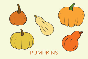 vector illustration of several types of pumpkin, a set of types of yellow pumpkin