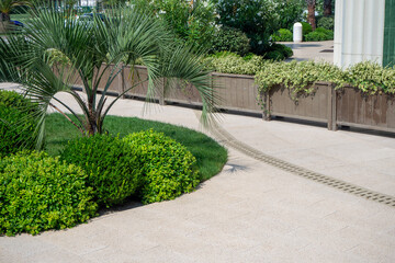 Obraz premium Curved paved path with palm tree and boxwood shrubs beside planter boxes. Landscape design for commercial building or resort entrance. Real photo