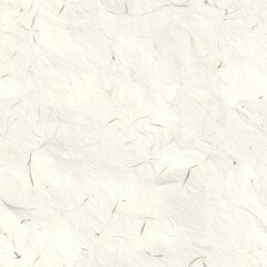 Handmade White Japanese Paper Texture