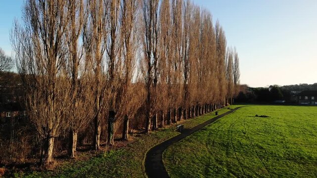 Public urban park with row of trees on council estate 
