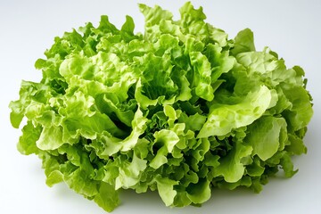 Fresh green lettuce with crisp leaves, perfect for salads and healthy meals, showcasing natural texture and vibrant color.