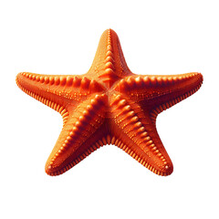 Vibrant orange starfish with detailed texture and five arms, representing tropical marine life in a clear underwater environment. Perfect for nature, ocean, and sea life concepts.