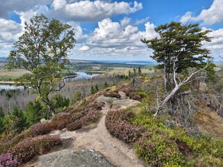 Aussicht vom Scharfenstein auf die Eckertalsperre im Harz