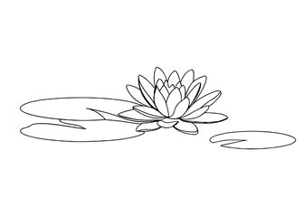 Outline drawing of a water lily with leaves on calm water  