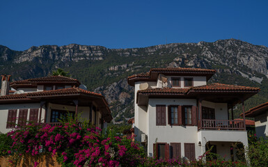 Fototapeta premium Charming houses with traditional architecture against a backdrop of rugged mountains under a clear blue sky. The vibrant magenta flowers climbing the walls add a splash of color to the serene setting
