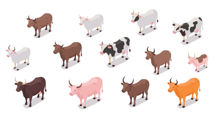 Isometric cattle variety set: diverse farm cows and bulls in 3d style