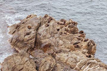 Burrewarra Point Guerilla Bay in Australia