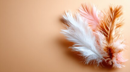 Obraz premium A visually appealing display of colorful feathers against a soft background highlights texture, aesthetic beauty, and the delicate nature of artistic expression.