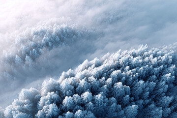 Aerial view of a serene winter forest, blanketed in snow and shrouded in mist. Evokes peace, tranquility, and the untouched beauty of nature. Ideal for travel, seasonal, and environmental themes.
