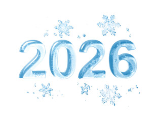 Minimal Modern 2026 Typography with Winter Snowflakes&rdquo;