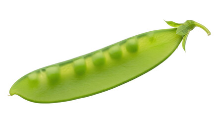 Isolated green sugar snap pea pod, healthy eating with fresh vegetables, produce and garden